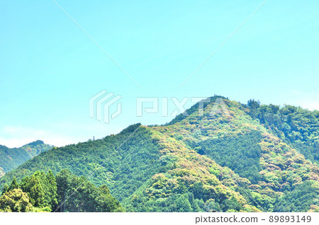 Satoyama in Shizuoka City Mizumiiro early summer 89893149