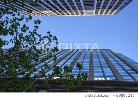 A group of skyscrapers in a sunny city during the fresh green season A group of skyscrapers in a sunny city during the fresh green season 89893215