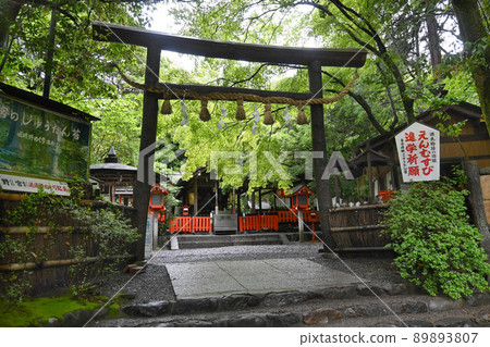 Nonomiya Shrine in Sagano, Kyoto City, walking in the fresh green is refreshing 89893807