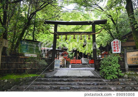 Nonomiya Shrine in Sagano, Kyoto City, where the fresh green is beautiful 89893808