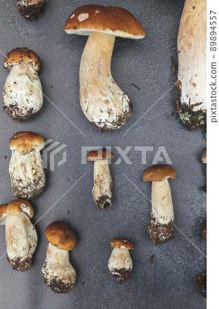 Autumn fall composition. Raw edible mushrooms Penny Bun on dark black stone shale background. Ceps over gray table. Cooking delicious organic mushroom gourmet food. Flat lay top view Autumn fall composition. Raw edible mushrooms Penny Bun on dark black stone shale background. Ceps over gray table. Cooking delicious organic mushroom gourmet food. Flat lay top view 89894557