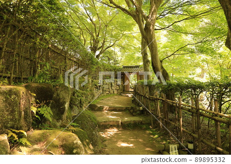 Blue leaves Blue leaves 89895332