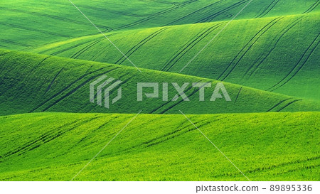 Beautiful landscape with spring nature. Waves on the field. South Moravia - Moravian Tuscany - Czech Republic Europe.. Beautiful landscape with spring nature. Waves on the field. South Moravia - Moravian Tuscany - Czech Republic Europe.. 89895336