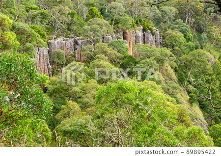 Lava flows - Dorrigo 89895422