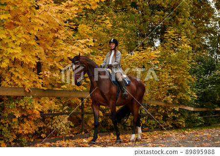 Portrait of a pretty young woman with a brown horse riding autumn day Portrait of a pretty young woman with a brown horse riding autumn day 89895988