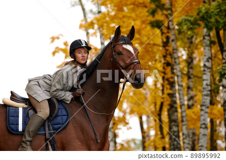 Portrait of a pretty young woman with a brown horse riding autumn day Portrait of a pretty young woman with a brown horse riding autumn day 89895992