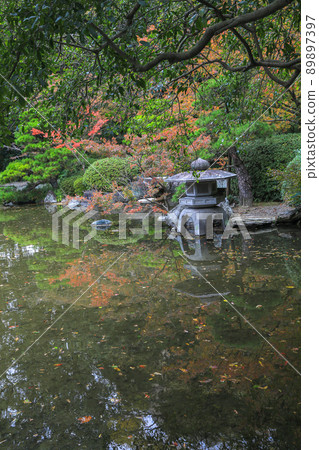 秋天的朋友 秋天的朋友 89897397