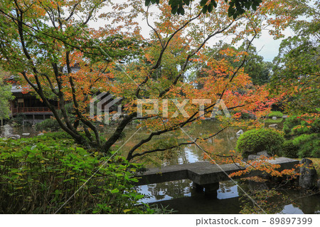 Friends of the fall Friends of the fall 89897399