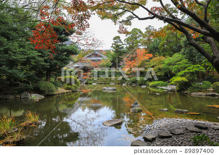 Friends of the fall 89897400