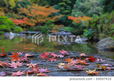 Friends of the fall 89897410