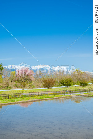 Paddy fields filled with water and the Ushirotateyama mountain range [Omachi City] 89897823
