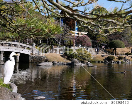 水前寺公園、泉池、泉神社(熊本市) 水前寺公園、泉池、泉神社(熊本市) 89898453