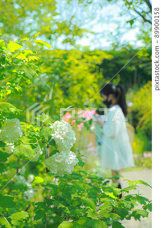 With Kotemari and One Piece 89900158