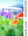 Poppy 89900160