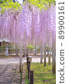 Wisteria trellis 89900161