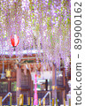 Wisteria of Sosha Shrine 89900162