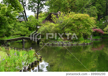 The Shinto shrine of Umenomiya Taisha Shrine in Kyoto City, which walks after the rain in May, is beautiful 89900200