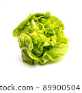 Fresh green lettuce on white background. 89900504