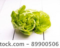 Fresh green lettuce on white background. 89900506
