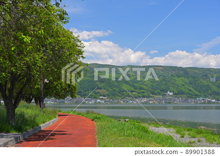 Tree scenery of Akasunasaki Park 89901388