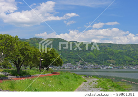 Tree scenery of Akasunasaki Park 89901391