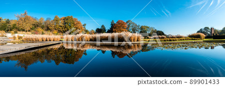 Extra large panoramic view of reflections of trees, plants and reeds with autumn colors in the pond of a city park 89901433