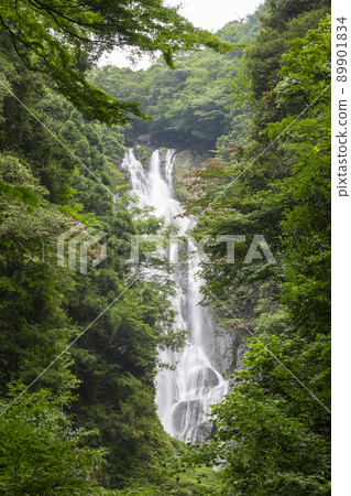 Fresh green in the north of the prefecture Fresh green in the north of the prefecture 89901834
