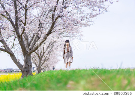 一個背著書包的女孩沿著一排櫻花樹走 89903596