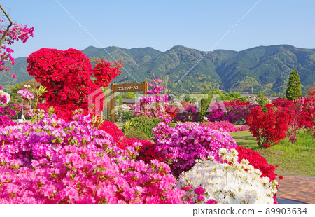 福岡縣久留米市花卉綠化產業基地世界辻中心 89903634