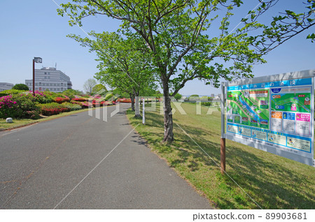 Kurume Hyakunen Park adjacent to the Chikugo River in Kurume City 89903681