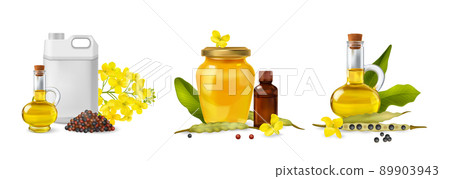 Realistic Rape Canola Icon Set Realistic Rape Canola Icon Set 89903943