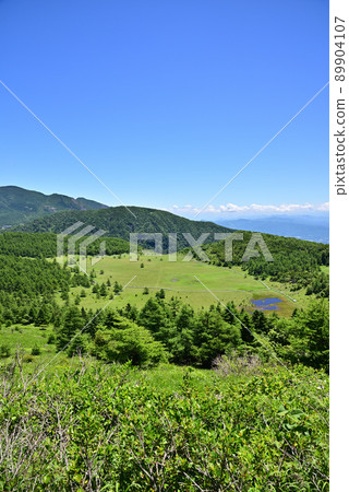 Ikenodaira Wetland scenery 89904107