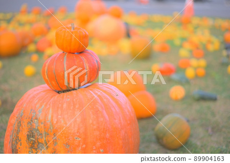 Pumpkin at Road Station Akan Pumpkin at Road Station Akan 89904163