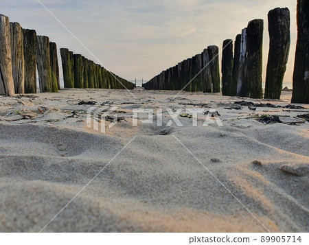 Sand beach with breakwater out wood - netherlands Sand beach with breakwater out wood - netherlands 89905714
