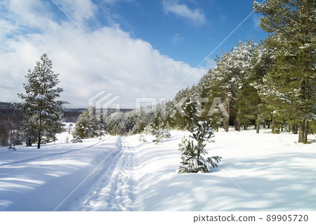 Rural landscape in winter 89905720