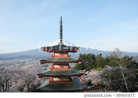 春天新倉山淺間公園的櫻花 春天新倉山淺間公園的櫻花 89905973
