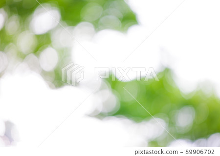 Natural ball bokeh fresh green trees Natural ball bokeh fresh green trees 89906702