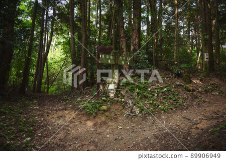 大阪府茨城市龍王山的登山步道 89906949