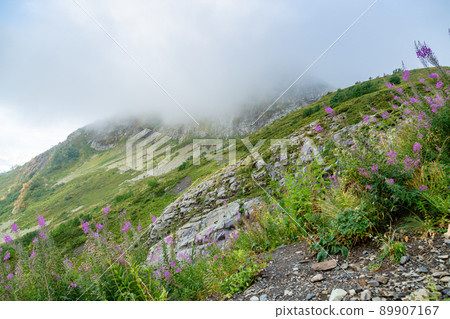 beautiful landscape in the mountains of Krasnaya Polyana beautiful landscape in the mountains of Krasnaya Polyana 89907167