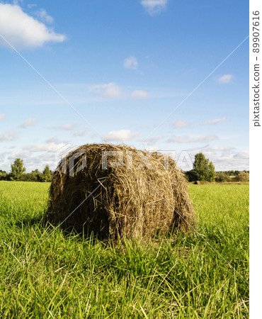 Roll of dry straw in field 89907616