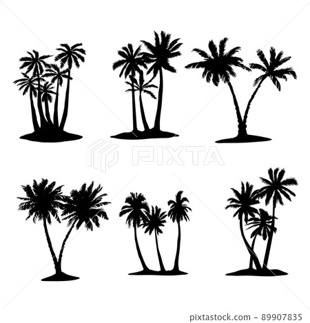 Coconut tree palm set icon in vector hand drawn style 89907835