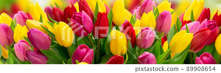 bouquet of fresh tulips flowers bouquet of fresh tulips flowers 89908654