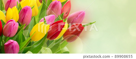 bouquet of fresh tulips flowers 89908655