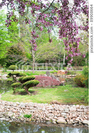botanical garden of Wroclaw, Poland 89908664