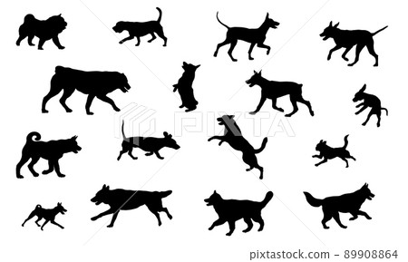 Group of dogs various breed. Black dog silhouette. 89908864