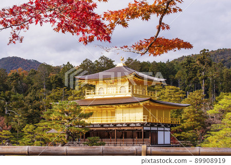 Kyoto Kinkakuji Temple, a famous spot for autumn leaves in Kyoto, a sightseeing spot in Kyoto, Kaenji Temple 89908919