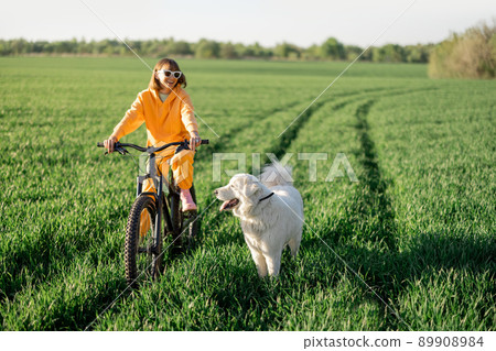 Woman rides a bicycle on a field with dog Woman rides a bicycle on a field with dog 89908984