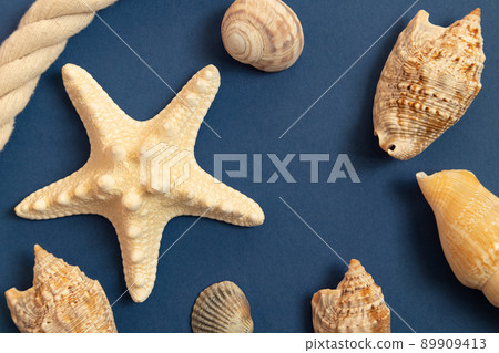 Starfish on a blue background, shells, stones on a blue background. The dream of the sea. 89909413