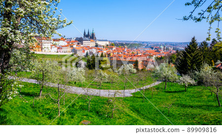 Prague Castle on sunny spring day 89909816