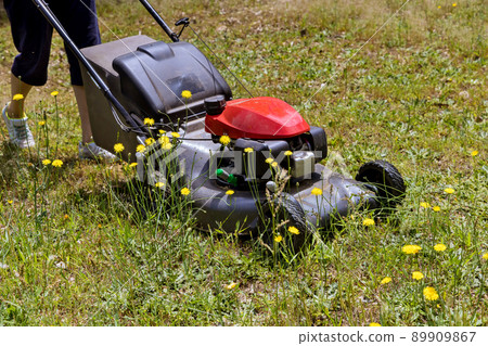 Mower lawnmower gardener cutting the grass 89909867